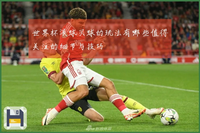 世界杯滚球买球的玩法有哪些值得关注的细节与技巧