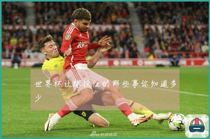 世界杯让球投注的那些事你知道多少