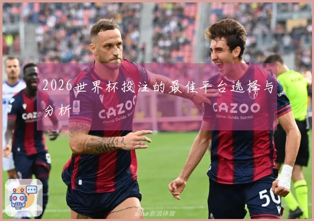 2026世界杯投注的最佳平台选择与分析