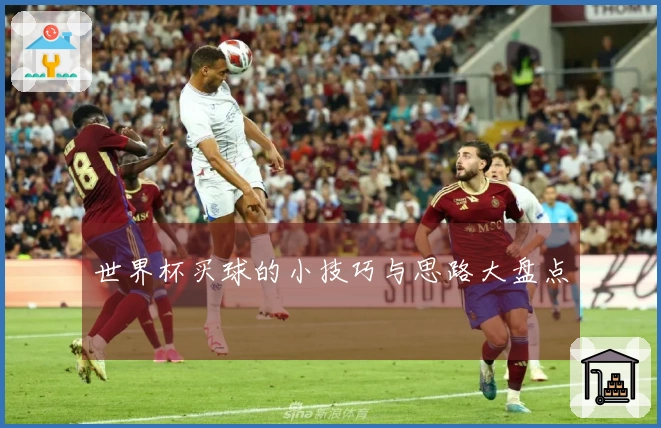 世界杯买球的小技巧与思路大盘点