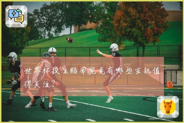 世界杯投注赔率究竟有哪些玄机值得关注?