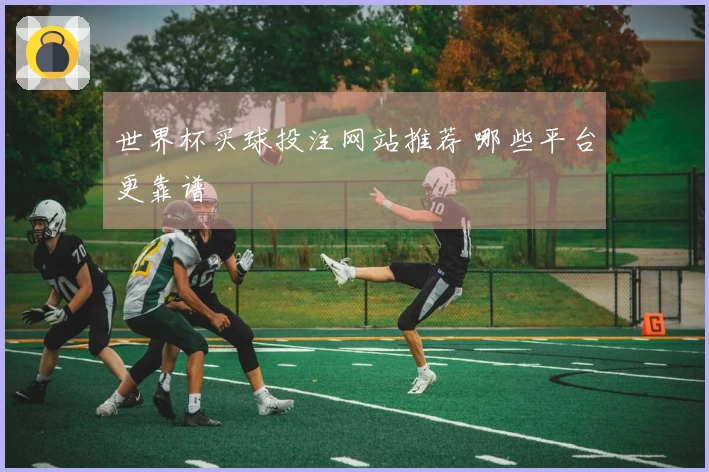 世界杯买球投注网站推荐 哪些平台更靠谱