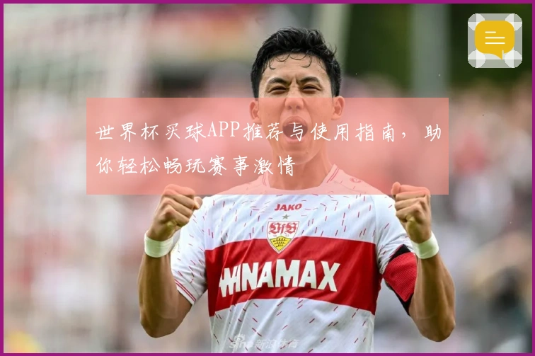 世界杯买球APP推荐与使用指南，助你轻松畅玩赛事激情