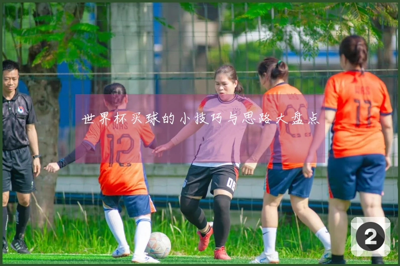 世界杯买球的小技巧与思路大盘点