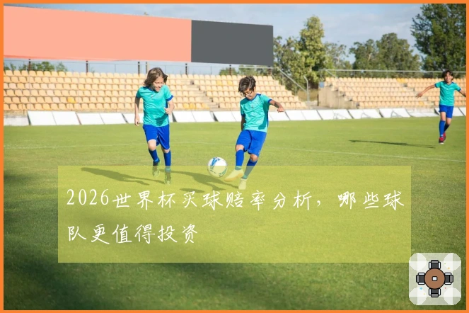 2026世界杯买球赔率分析，哪些球队更值得投资