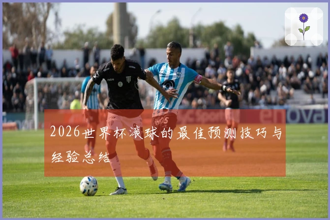 2026世界杯滚球的最佳预测技巧与经验总结