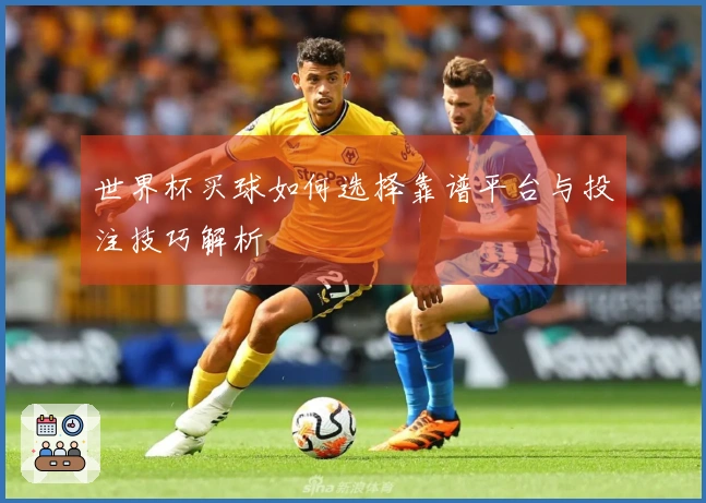 世界杯买球如何选择靠谱平台与投注技巧解析