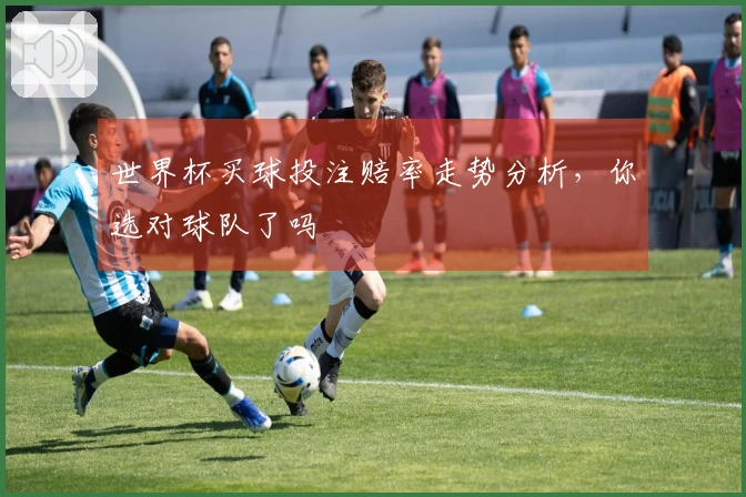 世界杯买球投注赔率走势分析,你选对球队了吗