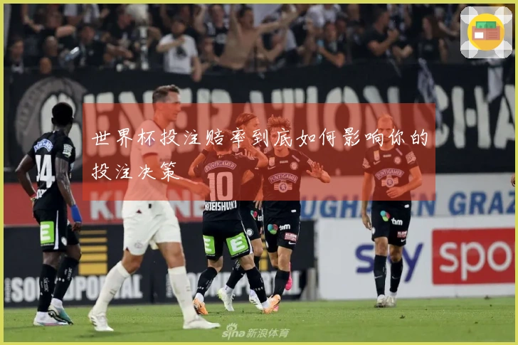 世界杯投注赔率到底如何影响你的投注决策