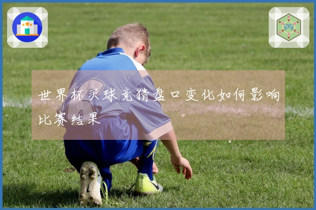 世界杯买球竞猜盘口变化如何影响比赛结果