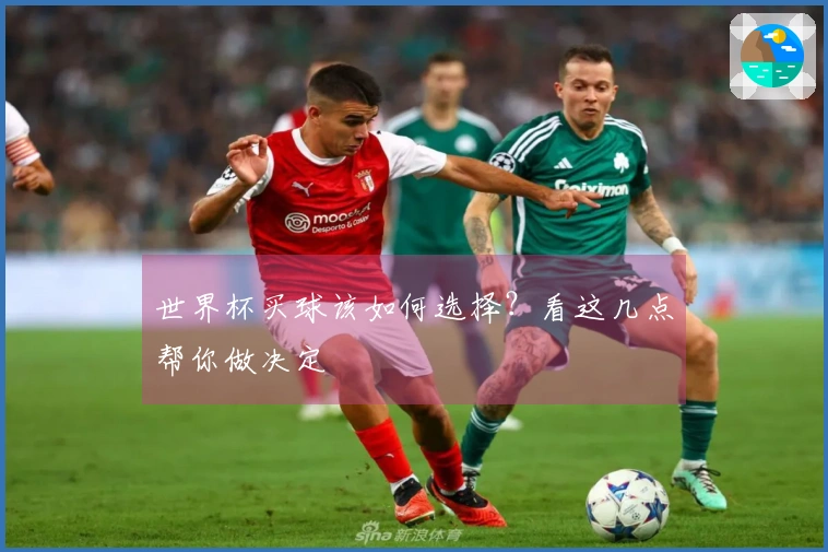 世界杯买球该如何选择？看这几点帮你做决定