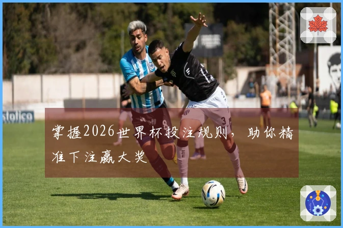 掌握2026世界杯投注规则，助你精准下注赢大奖