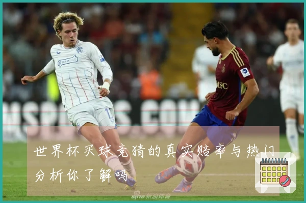 世界杯买球竞猜的真实赔率与热门分析你了解吗