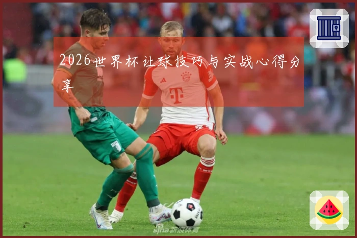 2026世界杯让球技巧与实战心得分享
