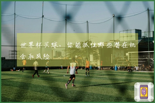 世界杯买球，你能抓住哪些潜在机会和风险