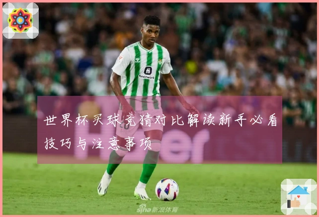 世界杯买球竞猜对比解读新手必看技巧与注意事项