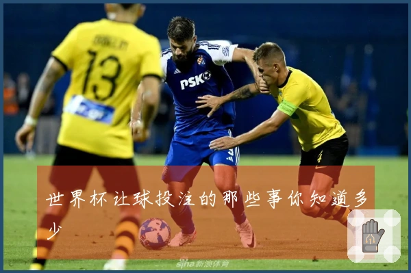 世界杯让球投注的那些事你知道多少