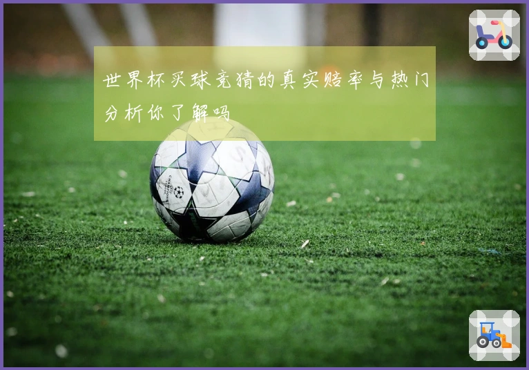 世界杯买球竞猜的真实赔率与热门分析你了解吗