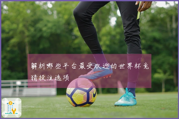 解析哪些平台最受欢迎的世界杯竞猜投注选项