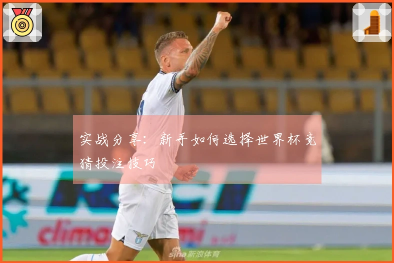 实战分享：新手如何选择世界杯竞猜投注技巧