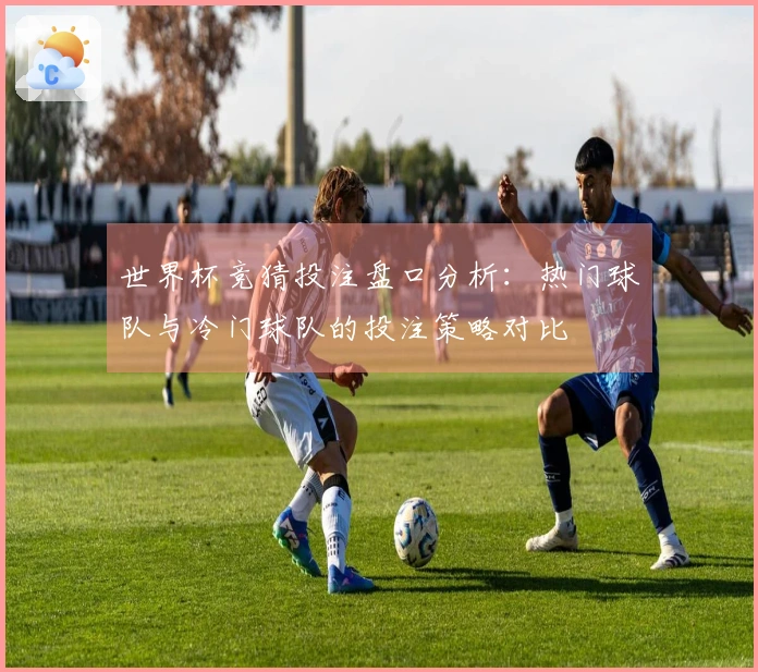 世界杯竞猜投注盘口分析：热门球队与冷门球队的投注策略对比